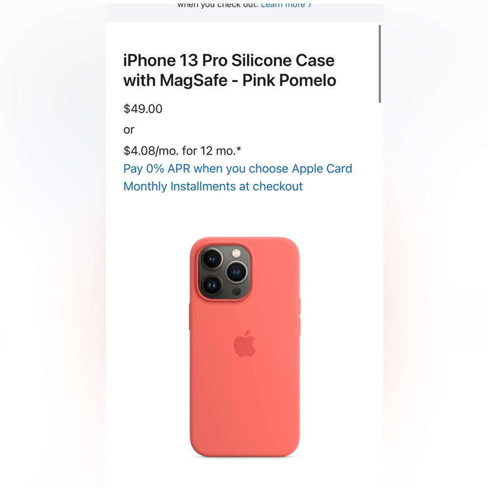 IPhone 13 Pro Case